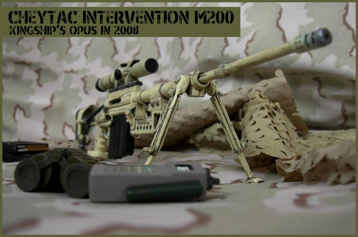 Cheytac+m2000+intervention