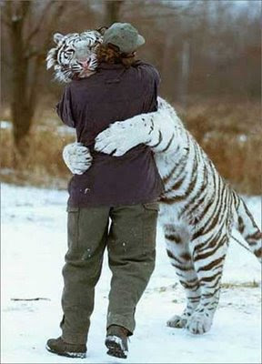 Animals+adopting+other+species