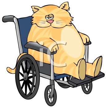 Cartoon+disabled+children