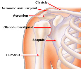 Broken+scapula