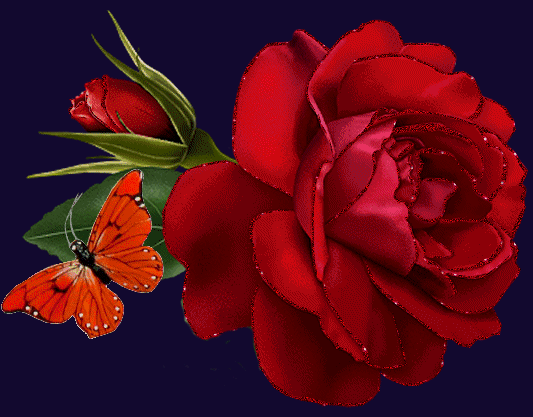 Roos+bloem